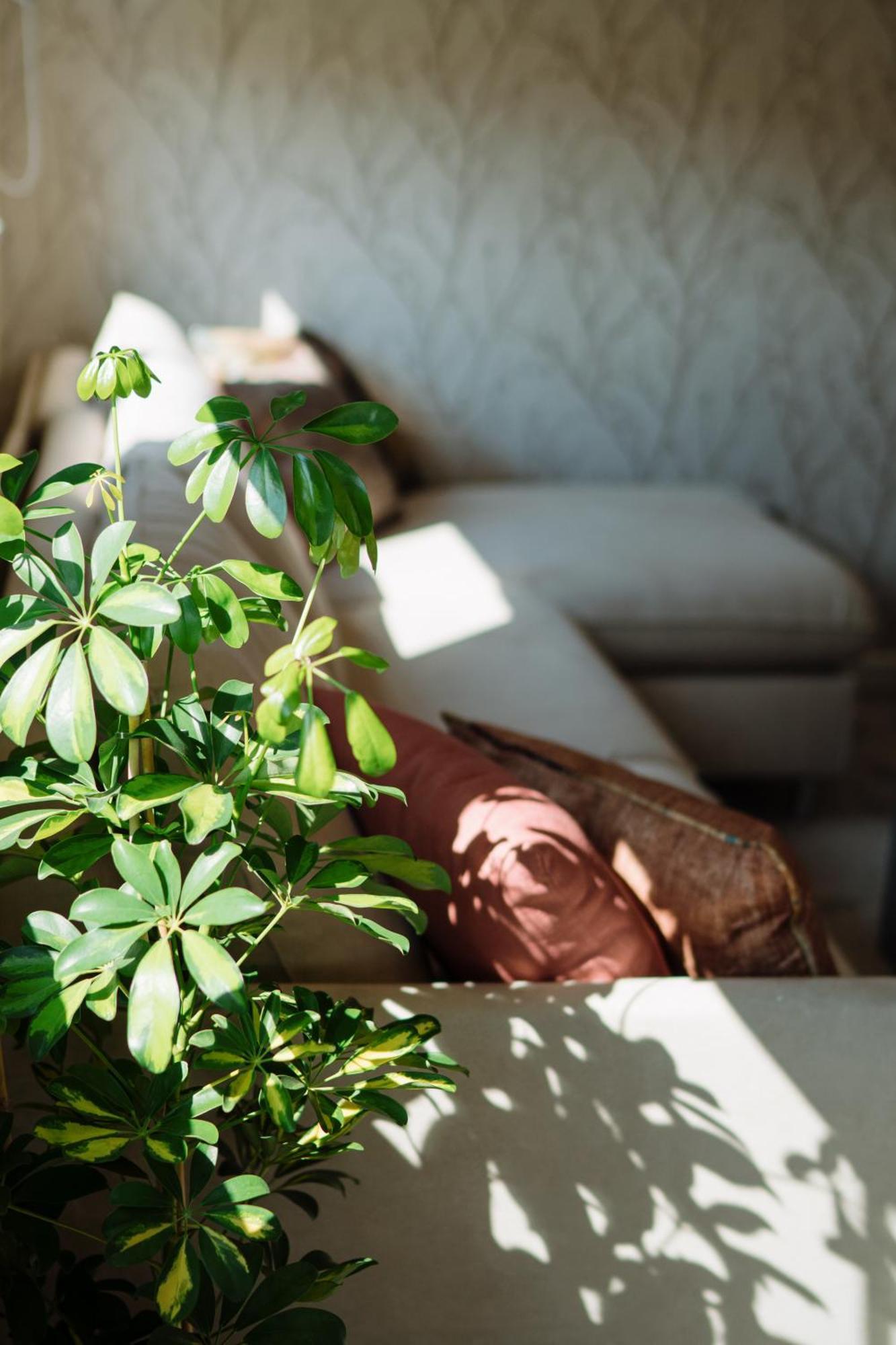 Lena Luxury Apartments Ζαντάρ Εξωτερικό φωτογραφία